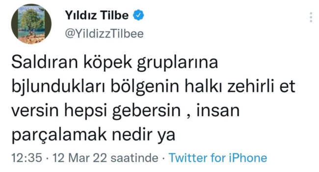 Yildiz Tilbe